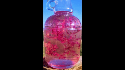 Fireweed Syrup