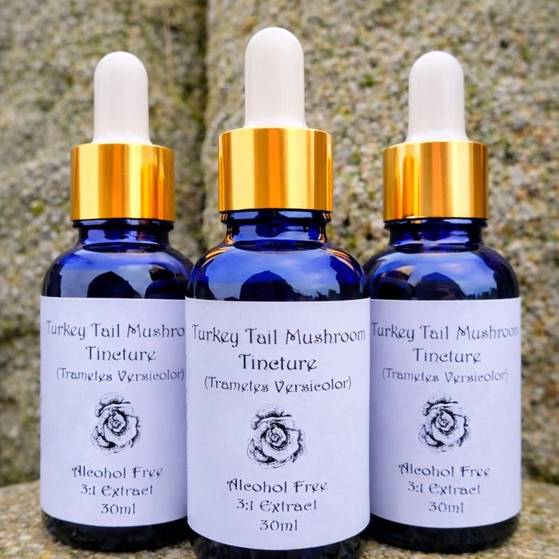 Three dark blue bottles of turkey tail mushroom tincture with white labels and gold dropper caps, placed outdoors against a stone background.