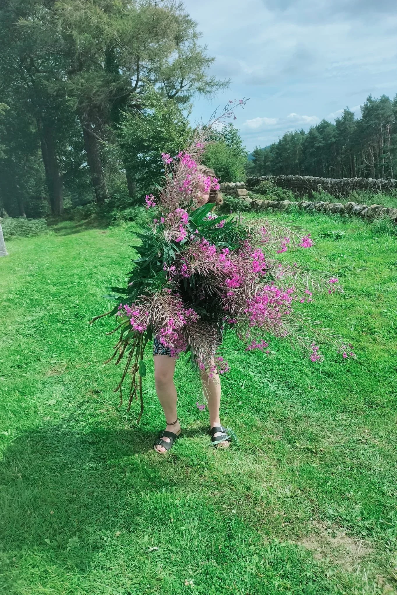 Person outdoors holding a large bouquet of pink flowers, standing on a grassy field with trees and a stone wall in the background.