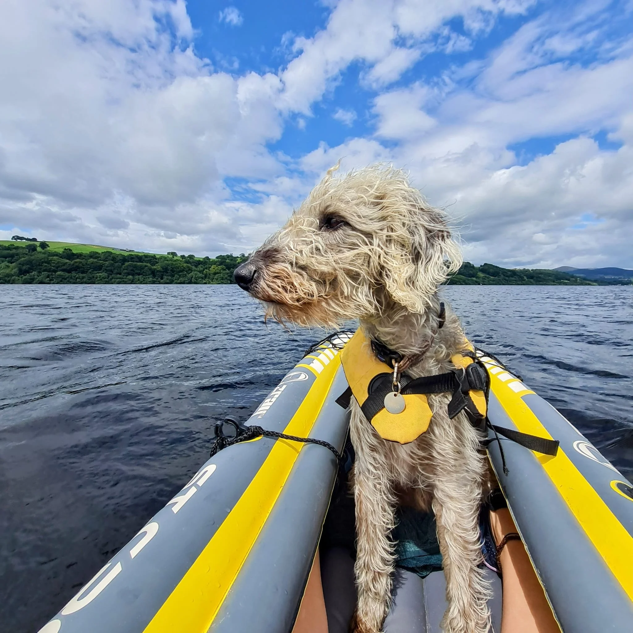 A dog sitting on an inflatable kayak on a lake with a landscape of rolling hills and a partly cloudy sky in the background.
