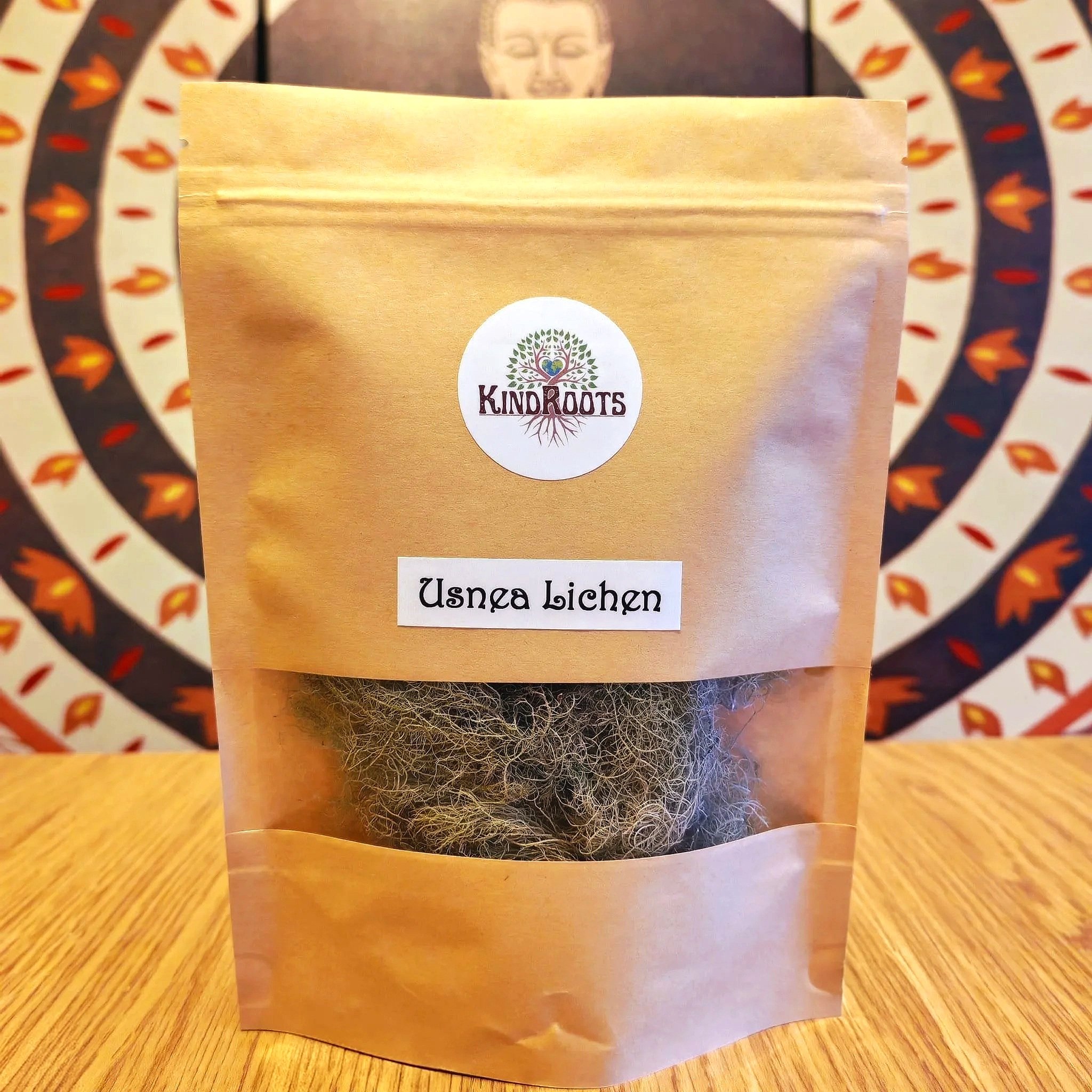 Usnea barbata Old Man's Beard lichen