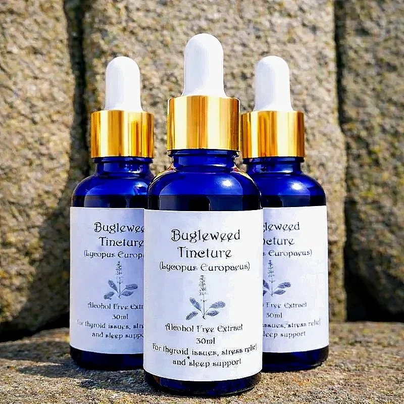cleaned+up+bugleweed+tincture.jpg