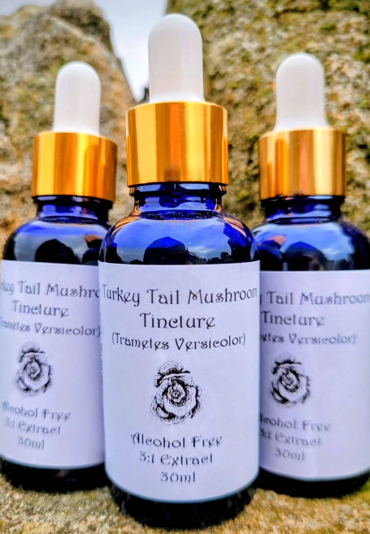 WhatsApp Image 2025-10-17 at 20.20.01_e3b4f02a.jpg