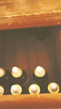 Turkey tail bottle GIF.gif