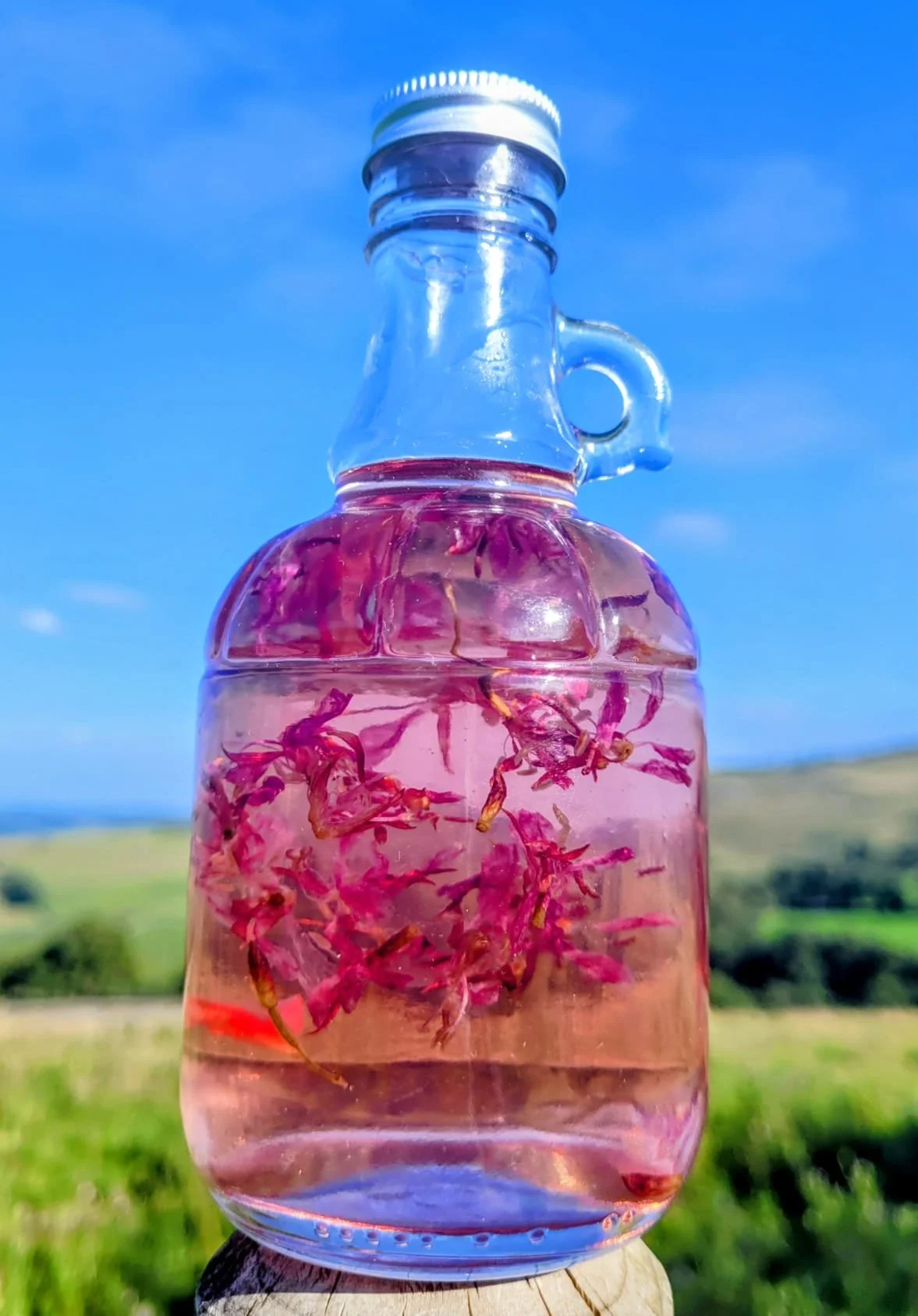 WhatsApp Image 2025-08-10 at 18.04.06_fb705f46.jpg