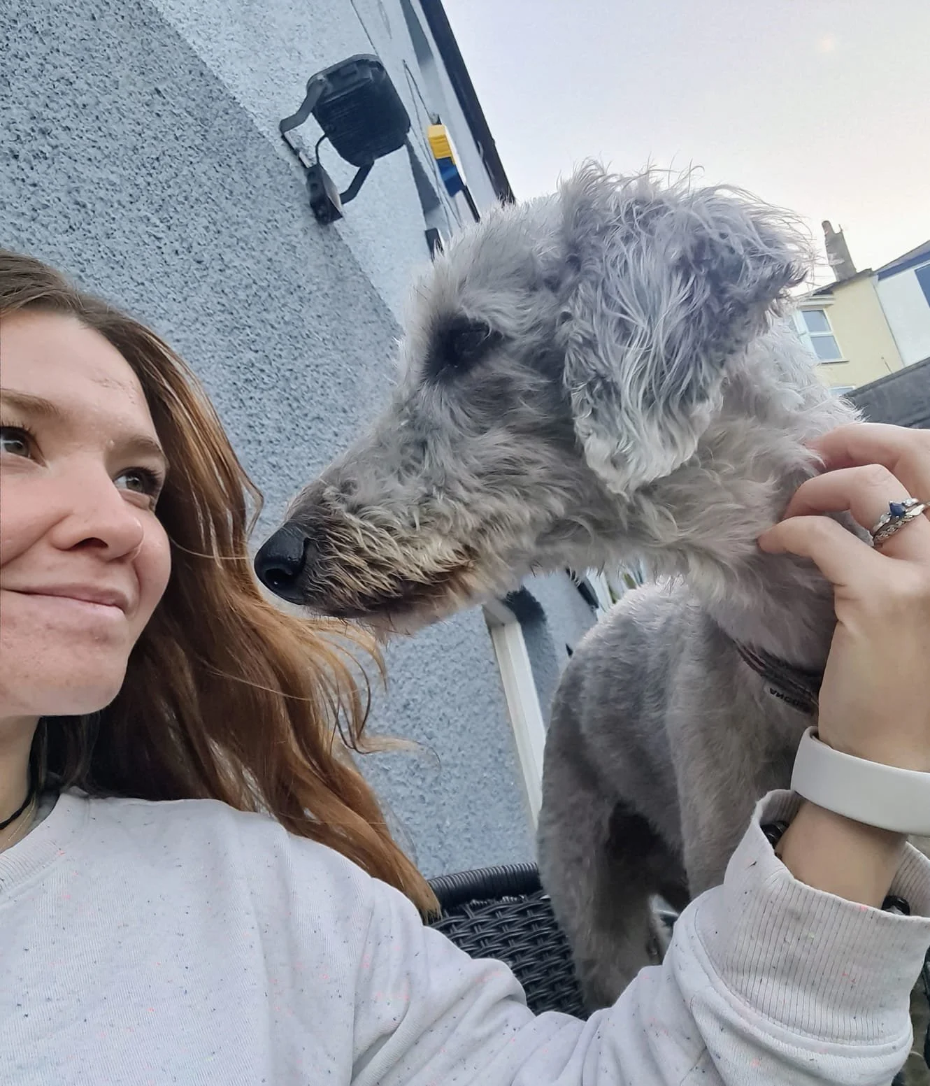 A woman with auburn hair and a white sweater is holding a curly-haired gray dog close to her face. The dog appears to be sniffing or nuzzling her face.