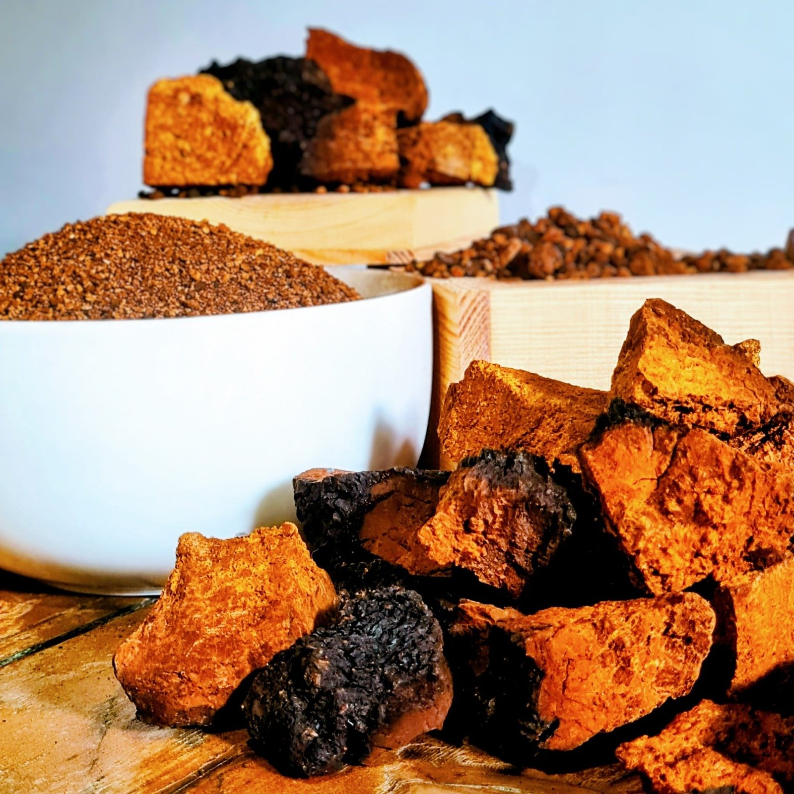 chaga mushroom chunks