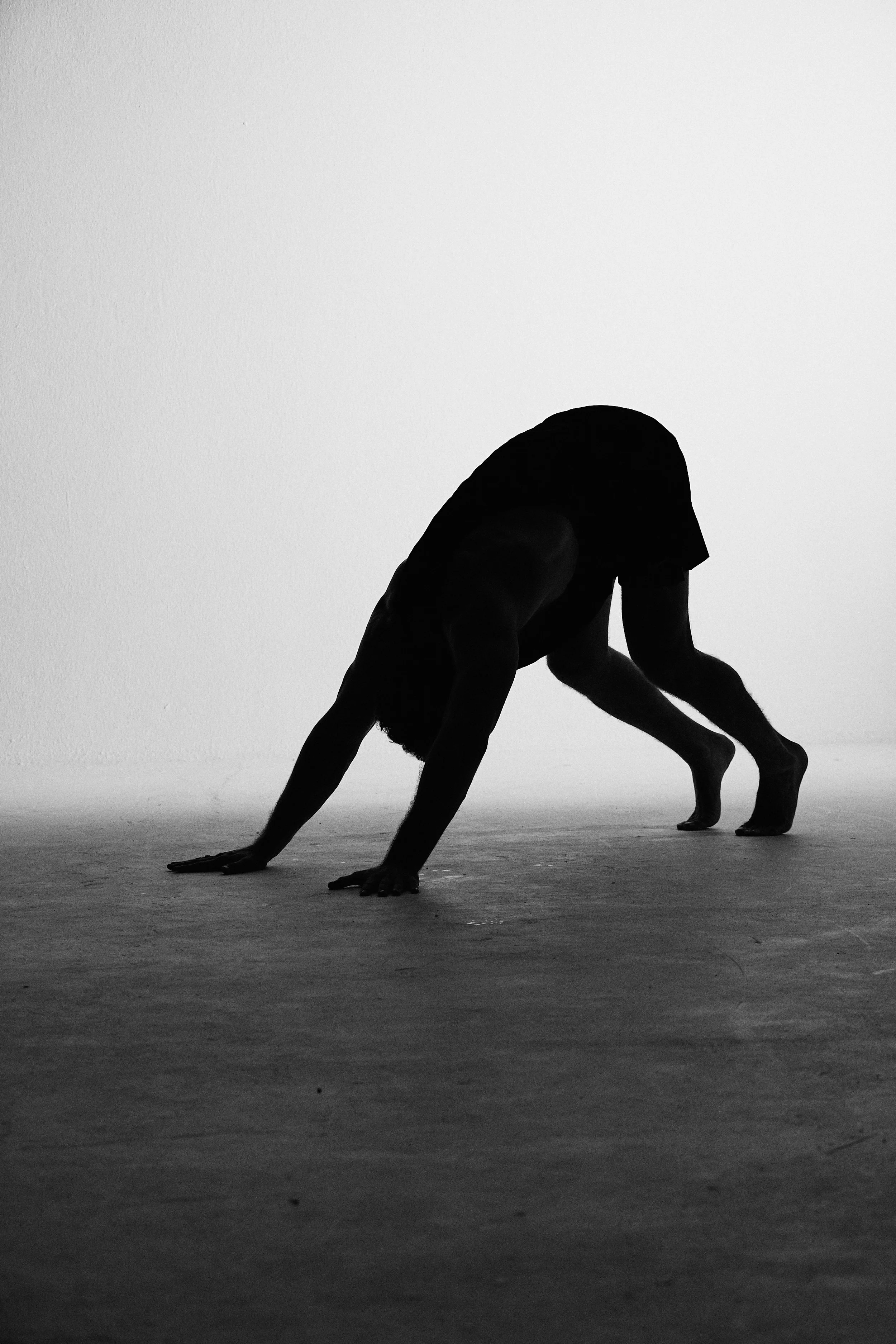 241114_MVMT STUDIO CAMPAIGN10963-CLEM .jpg