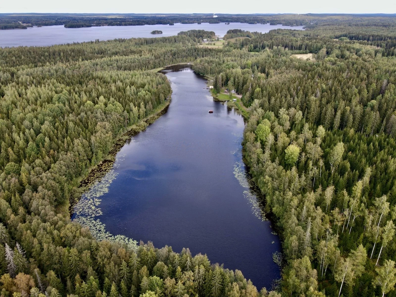 Järvi metsän keskellä.