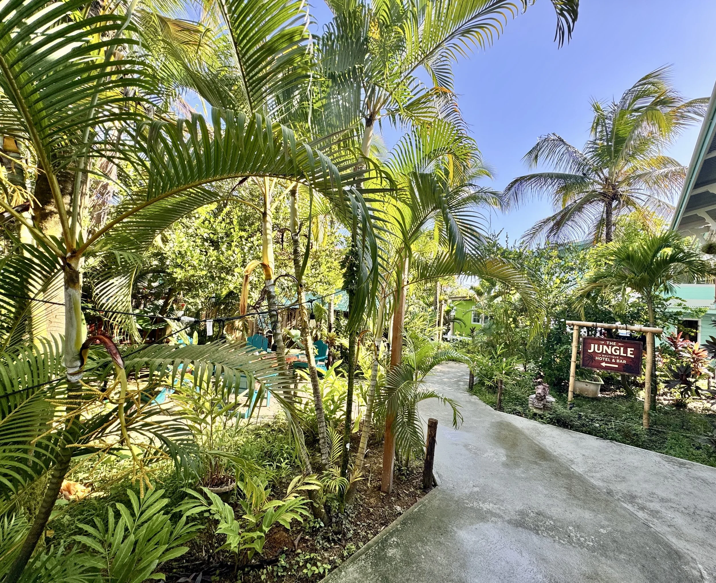 Tropical garden pathway leading to waterfront deck at The Jungle Hotel, Bocas Del Toro Panama.