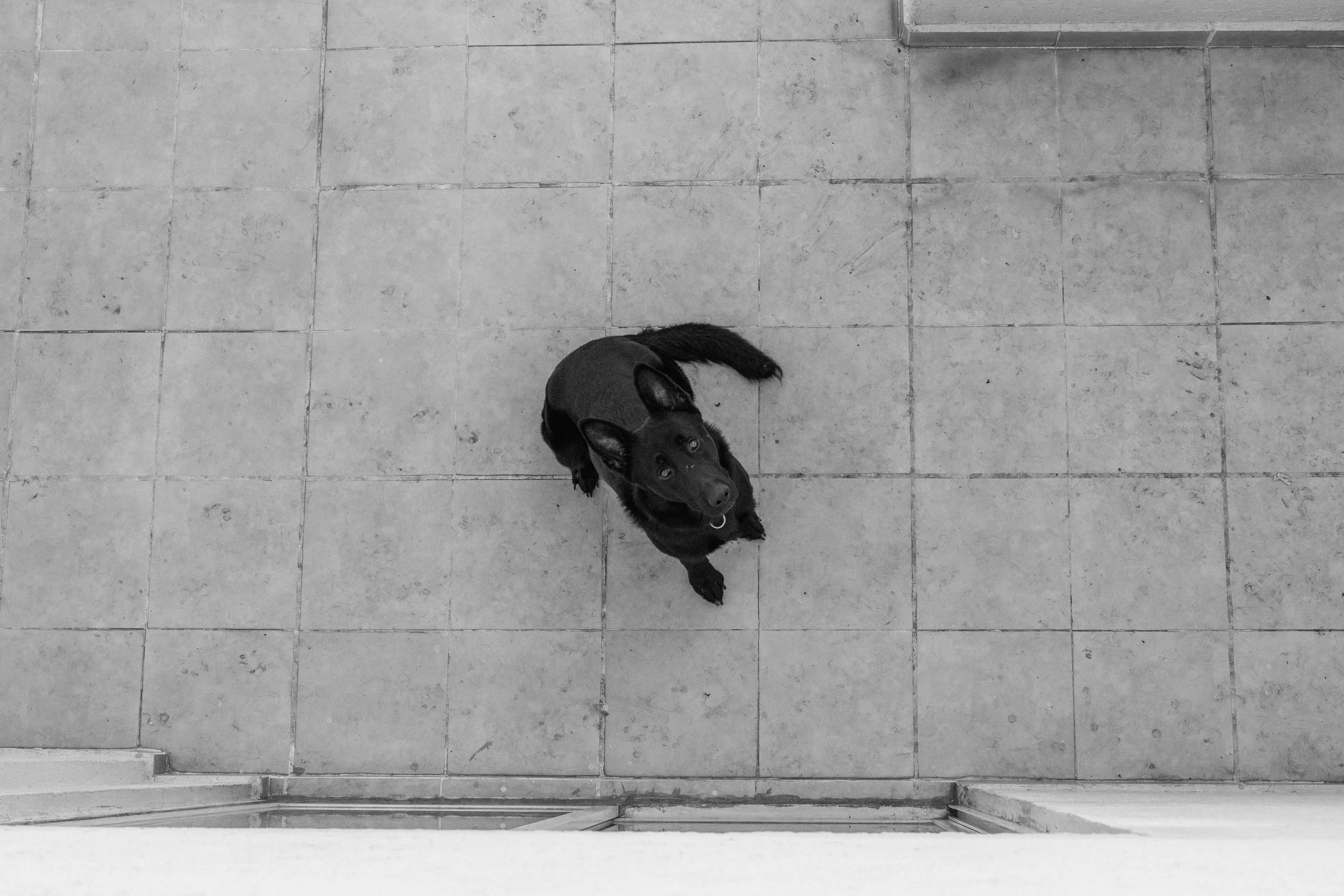 BW_TOURISTA-3.jpeg