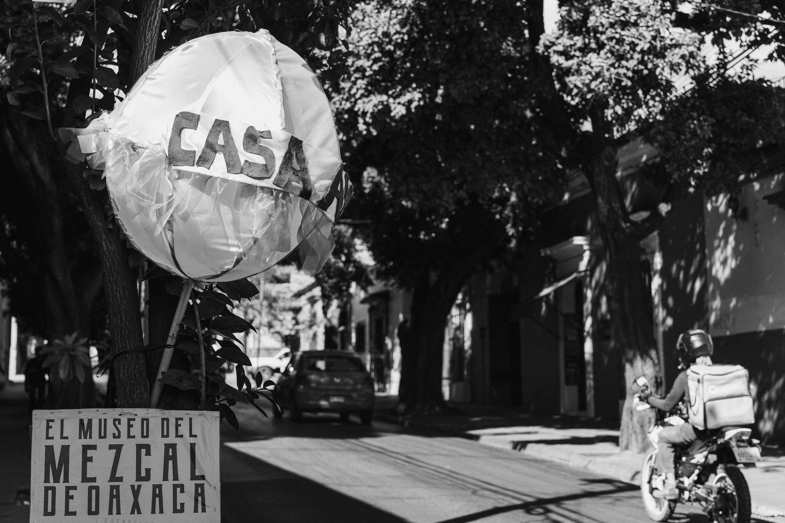 BW_TOURISTA-4.jpeg