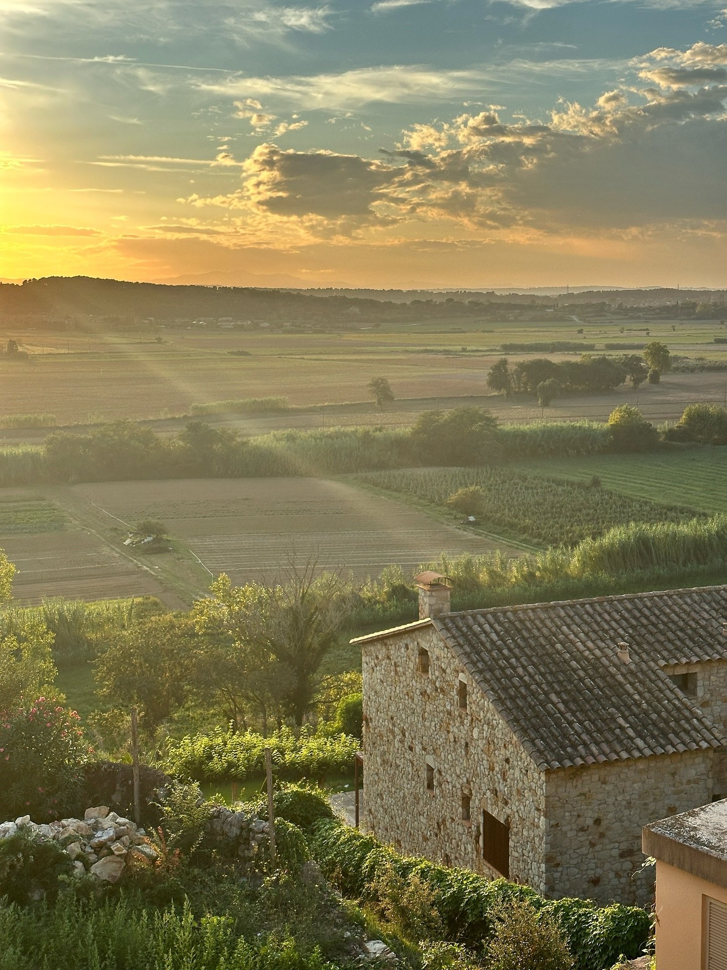 Well, gosh - to say I wasn&rsquo;t totally inspired and madly in love with all the gardens in Spain would be a complete and utter lie. 

Every other house was clad with an abundance of plants - decorative hedges probably older than me, climbing vines