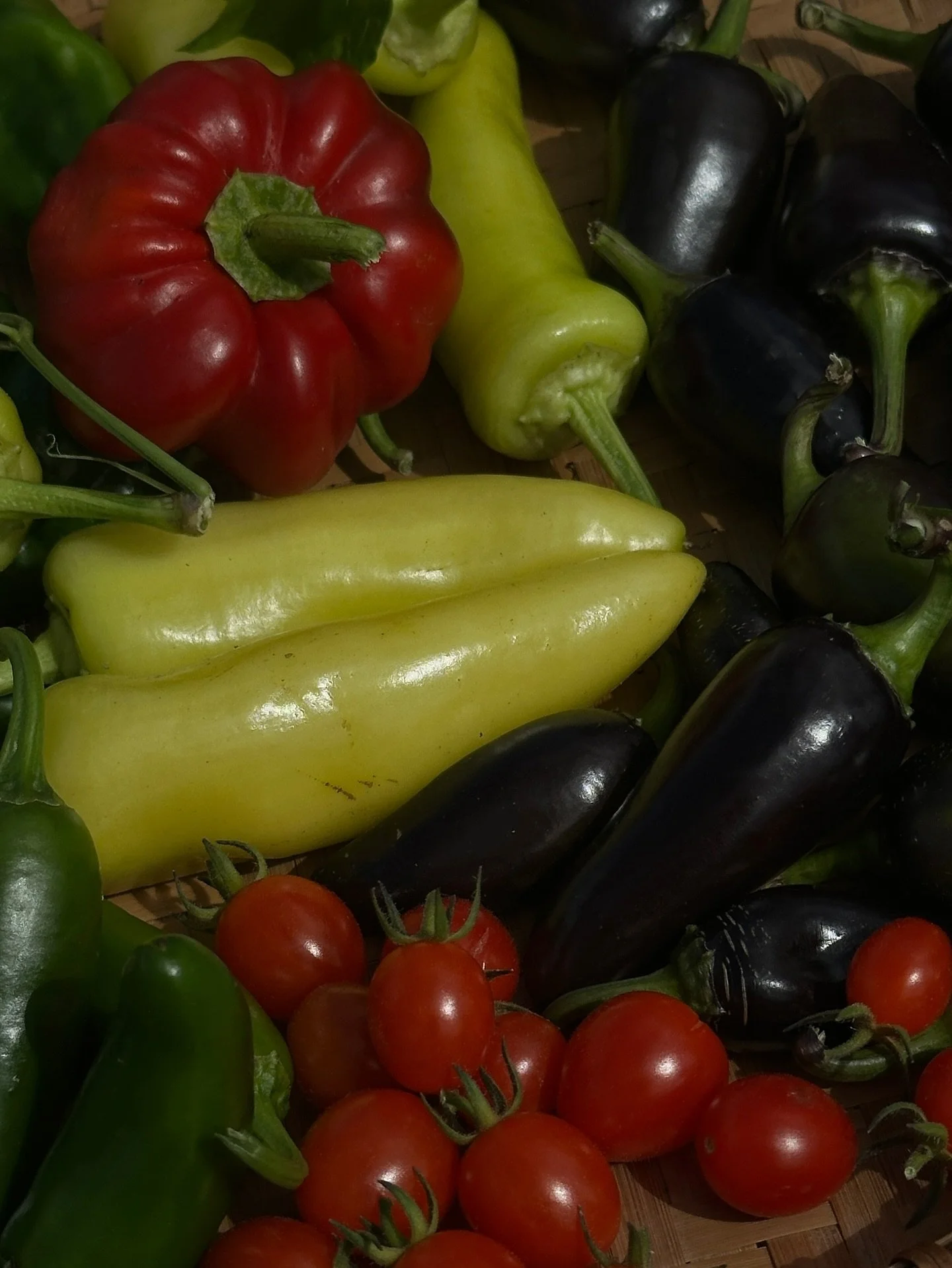 The fall bounty keeps coming, harvest season is upon us! 

#garden #vegetablegarden #harvest #veggieharvest #gardenharvest #gardenveg #homesteading