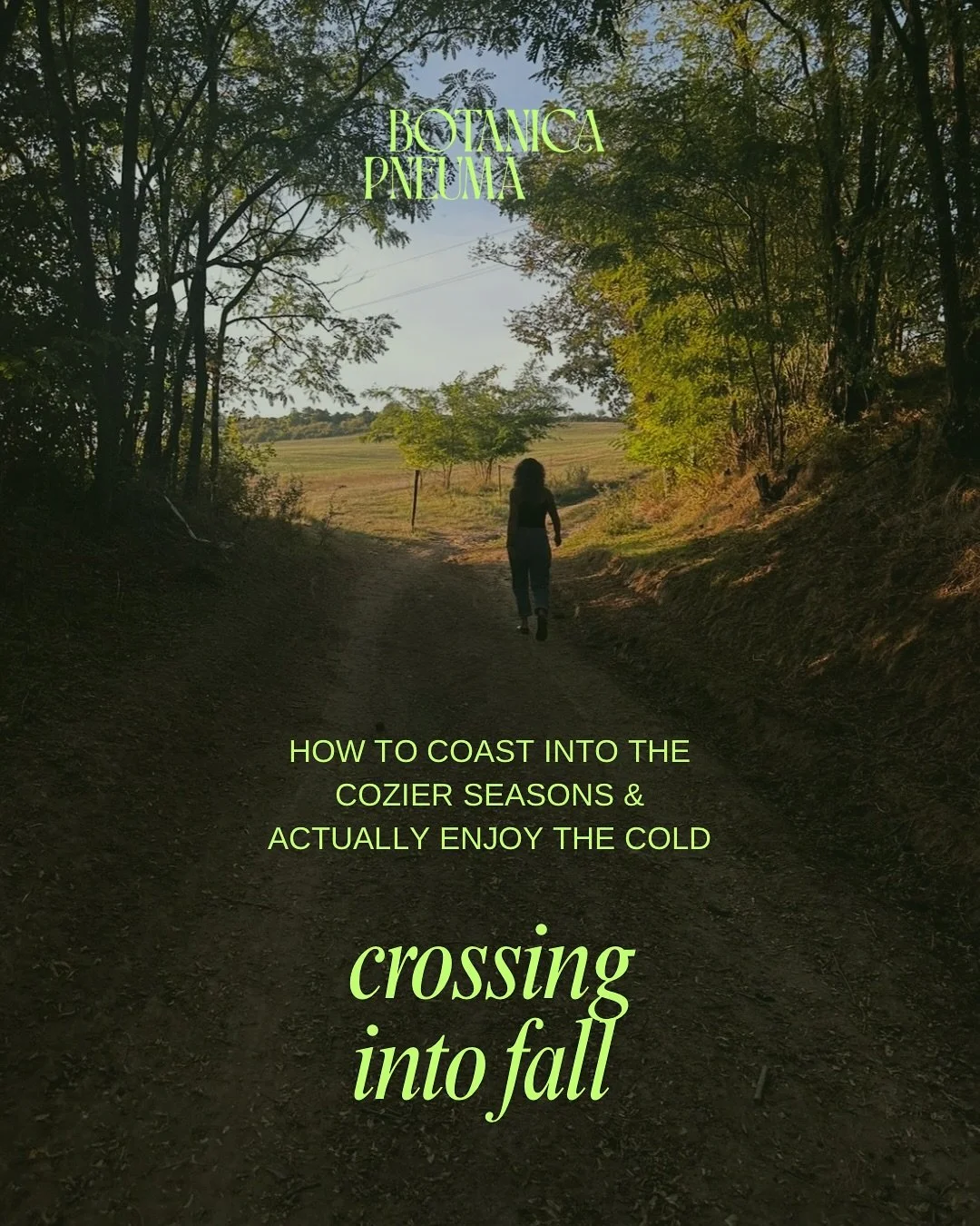 Today is fall equinox, where the day and night are equal in length. From here the days get shorter and the weather gets cooler - and it&rsquo;s all about going in. Wishing you a happy equinox and a restful season. 

#fallequinox #equinox #fall #falls