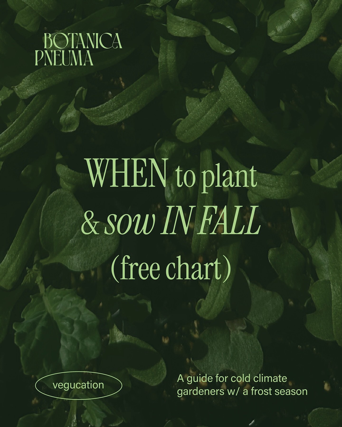 Fall seed sowing can be SUPER confusing, and even if you&rsquo;re a seasoned gardener timing can slip by FAST. 

I created a little cheat sheet for you to keep on hand for fall seed sowing, and included some handy tips at the end for a successful fal