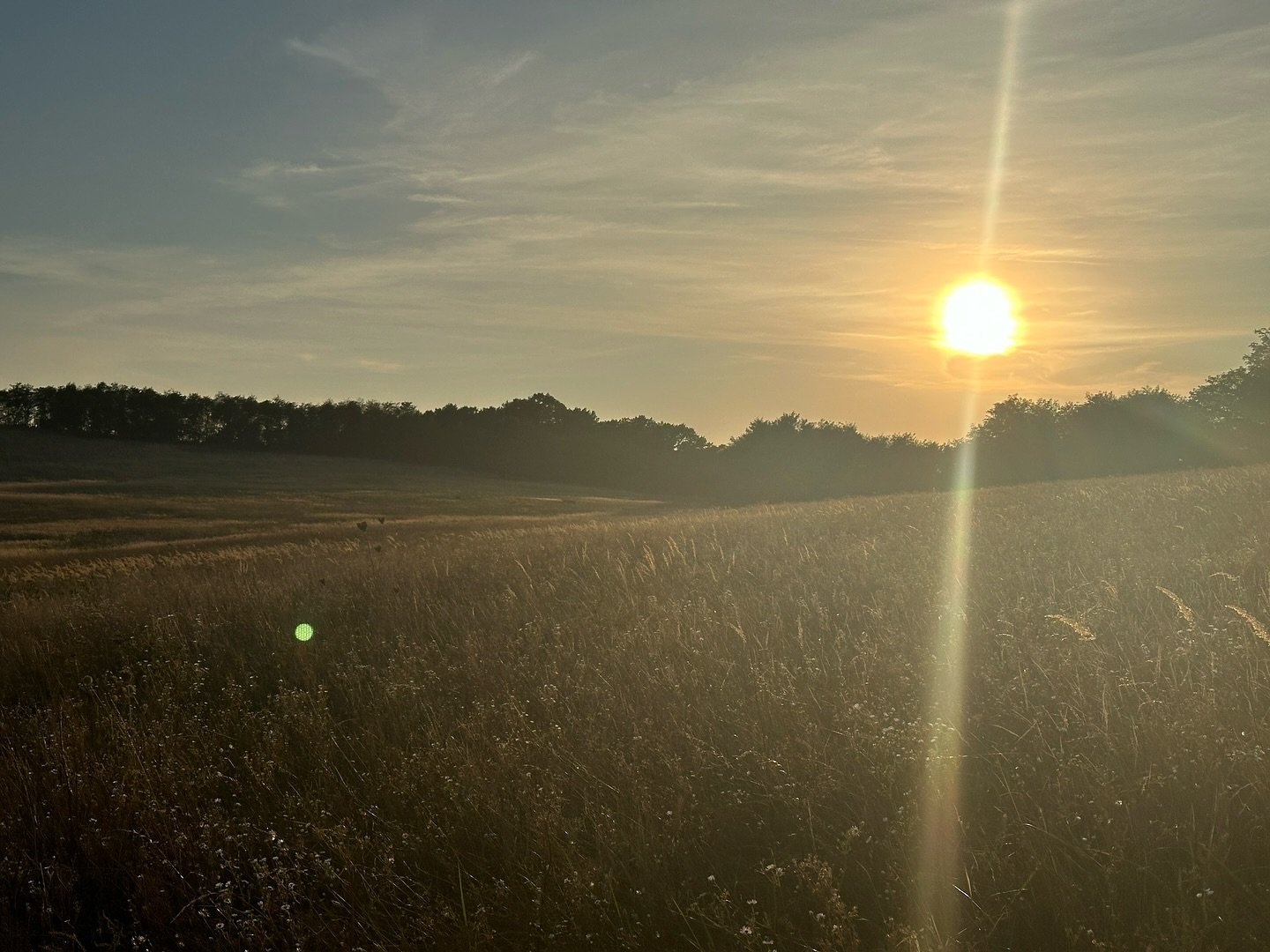 Late summer you get that graspy feeling, like you&rsquo;re hanging onto the last threads of warm nights and tank tops. You fight fall for a month or so, pretend it&rsquo;s not coming - it&rsquo;s not possible, no way, you won&rsquo;t let it happen. B