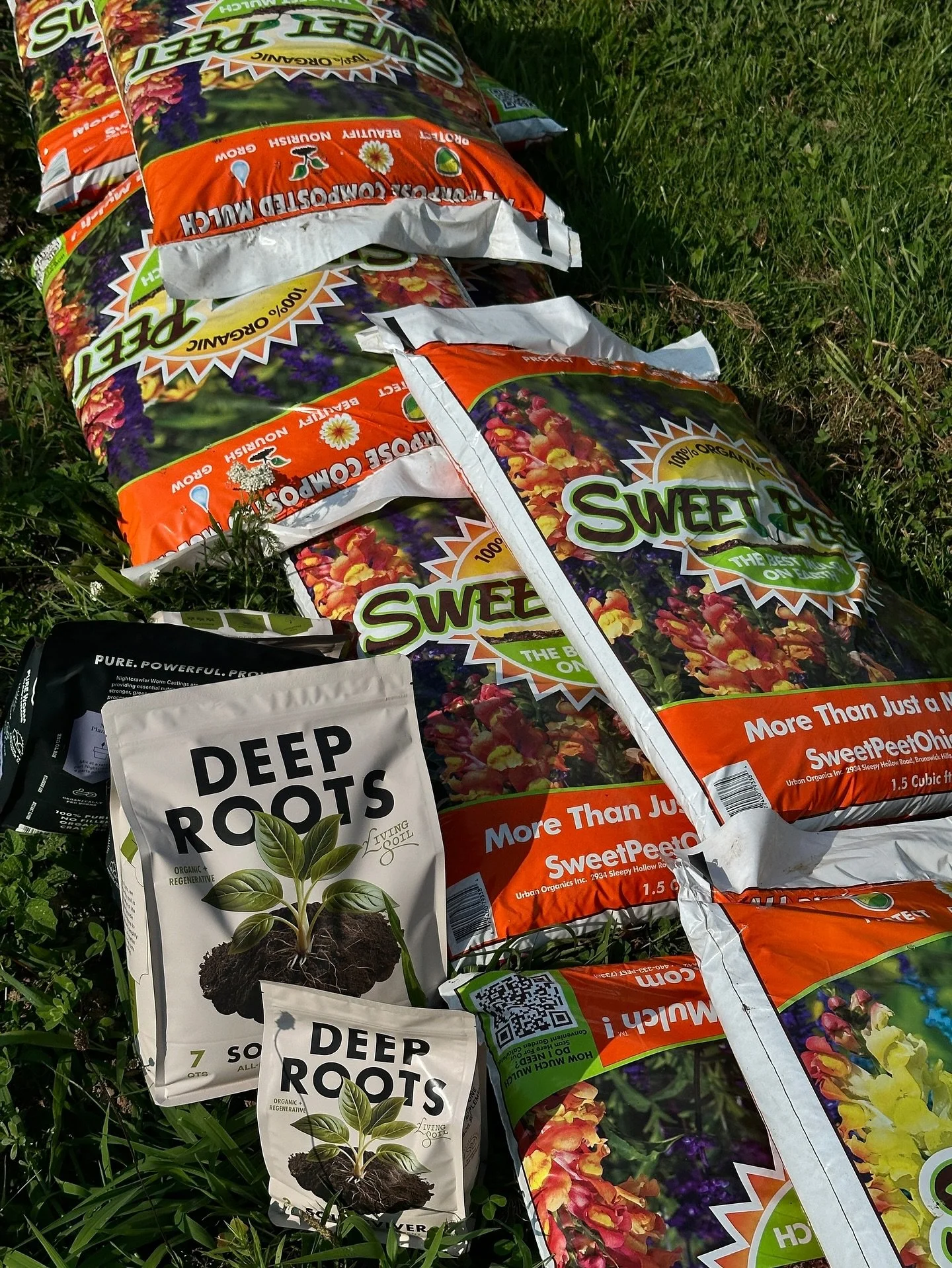 Don&rsquo;t forget to snag that discount - use RACHEL15 at checkout on your cart at the Deep Roots website. 

Now is the time you&rsquo;re going to be likely ripping out out spent crops and beginning to plan for next year -  and that means it&rsquo;s