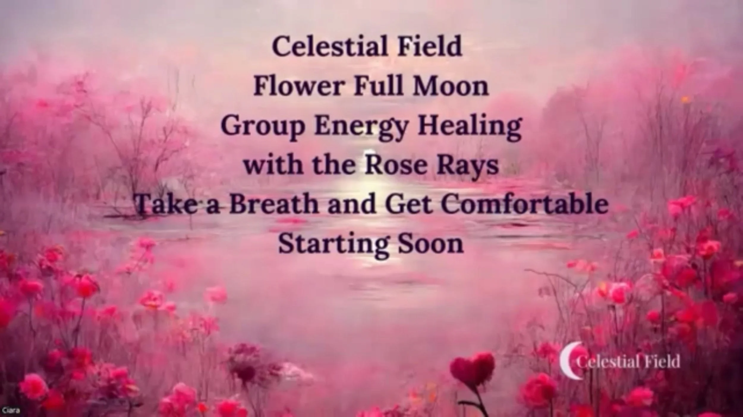 Pink and purple landscape with blooming flowers, a pink full moon, and a body of water reflecting the sky. Overlaid text reads: 'Celestial Field, Flower Full Moon, Group Energy Healing with the Rose Rays, Take a Breath and Get Comfortable, Starting Soon.'
