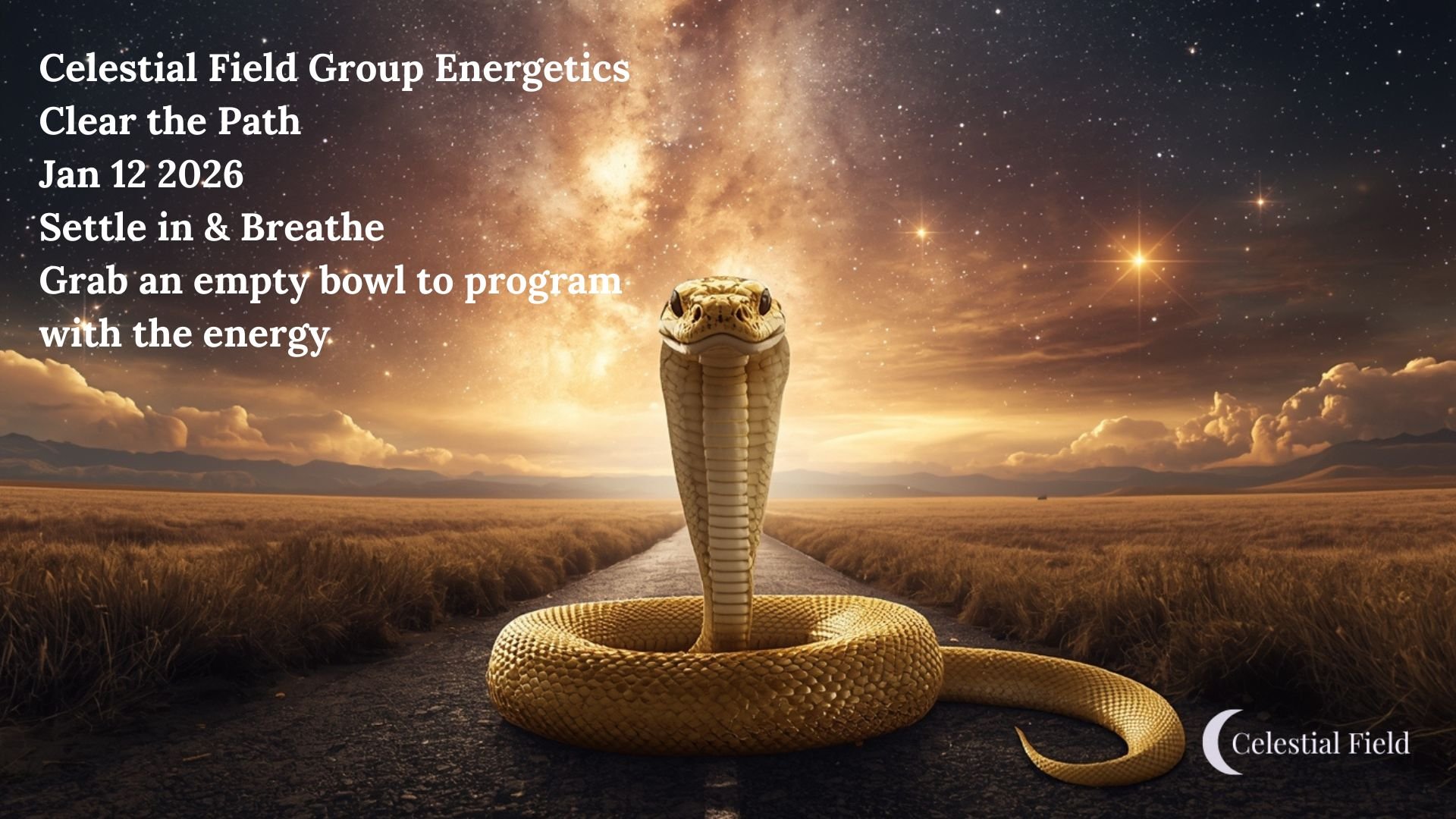 A snake coiled on a road in a golden field under a starry night sky with the Milky Way, with overlaid text promoting a spiritual event titled 'Celestial Field Group Energetics' on January 12, 2026, encouraging settling in, breathing, and programming energy with an empty bowl.
