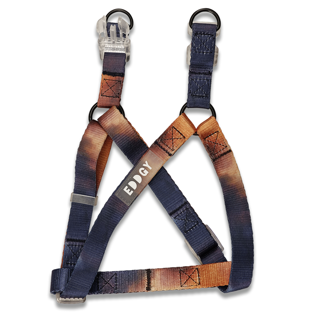 Eddgy Dog Harness - Bruce