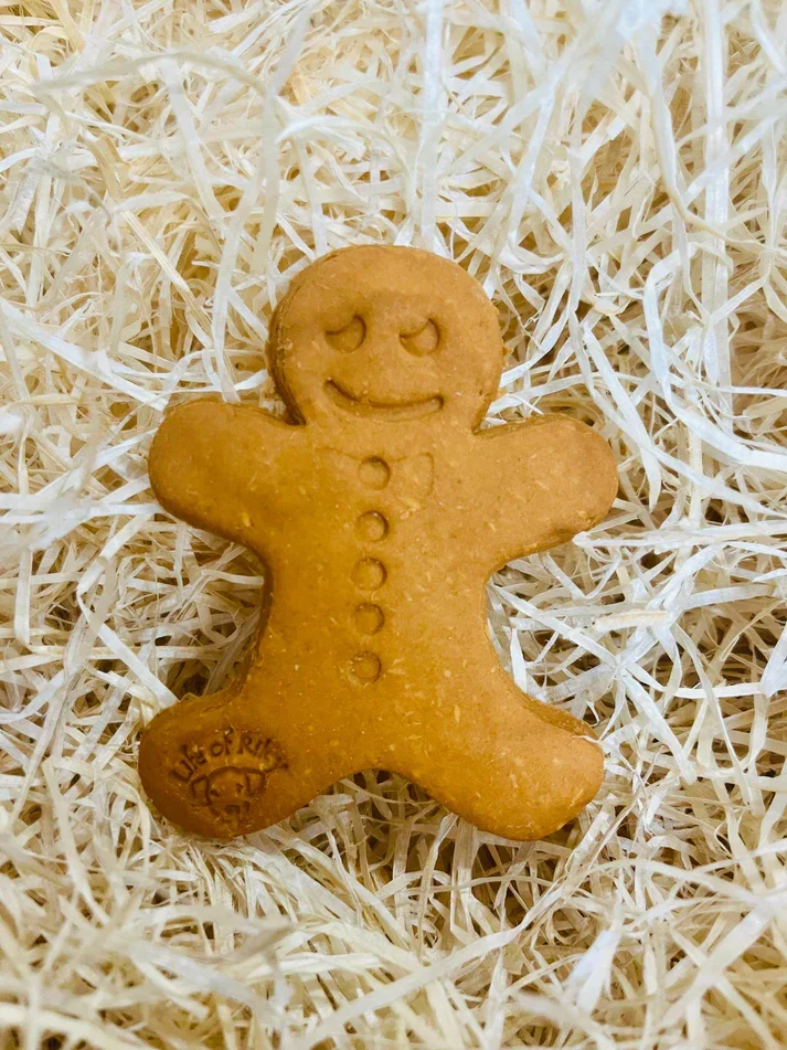 LargeGingerbreadManDogBiscuitTreatLoose_516b9c3d-3201-4565-81bc-08ca10c52436.webp