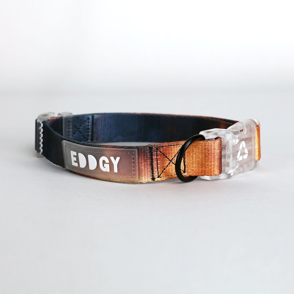 Eddgy Dog Collar - Bruce