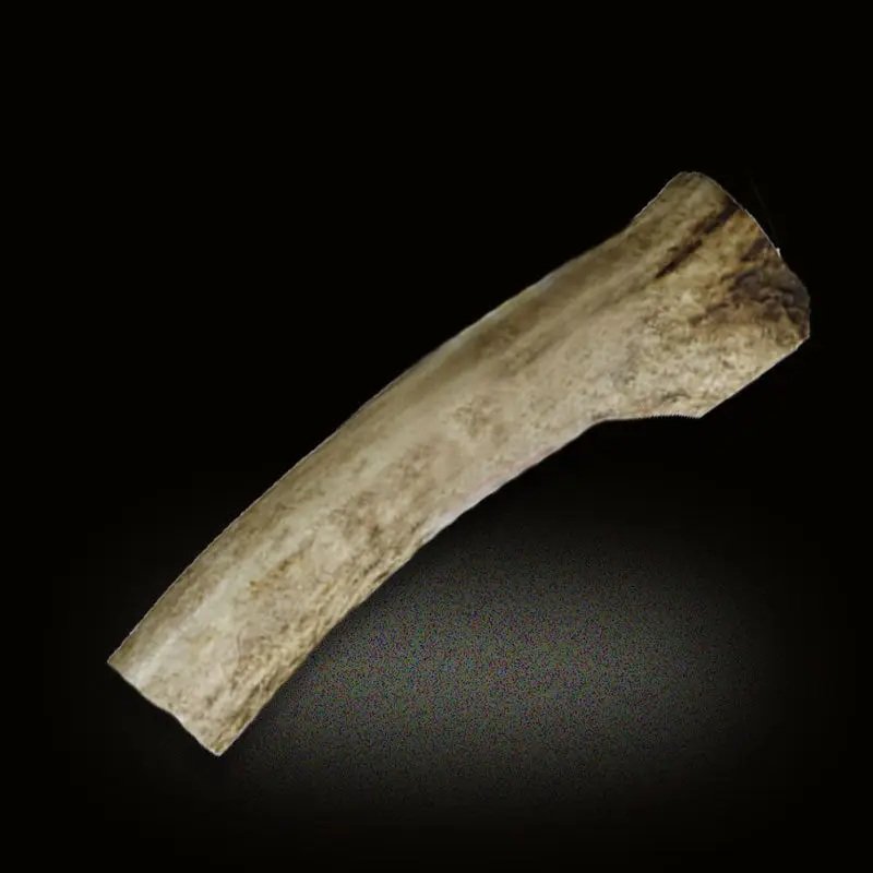 Antler3.jpg