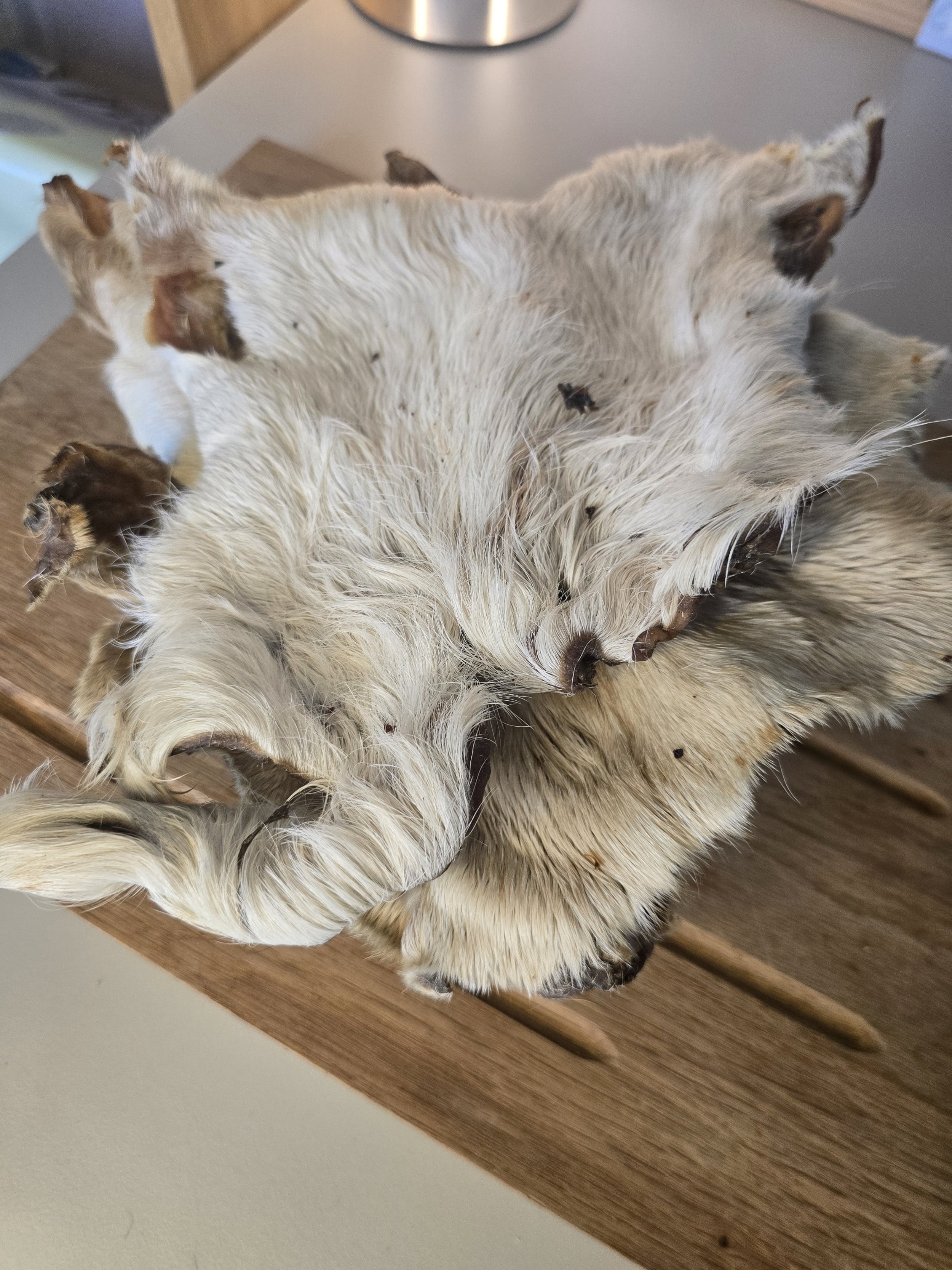 Hairy Beef Bark