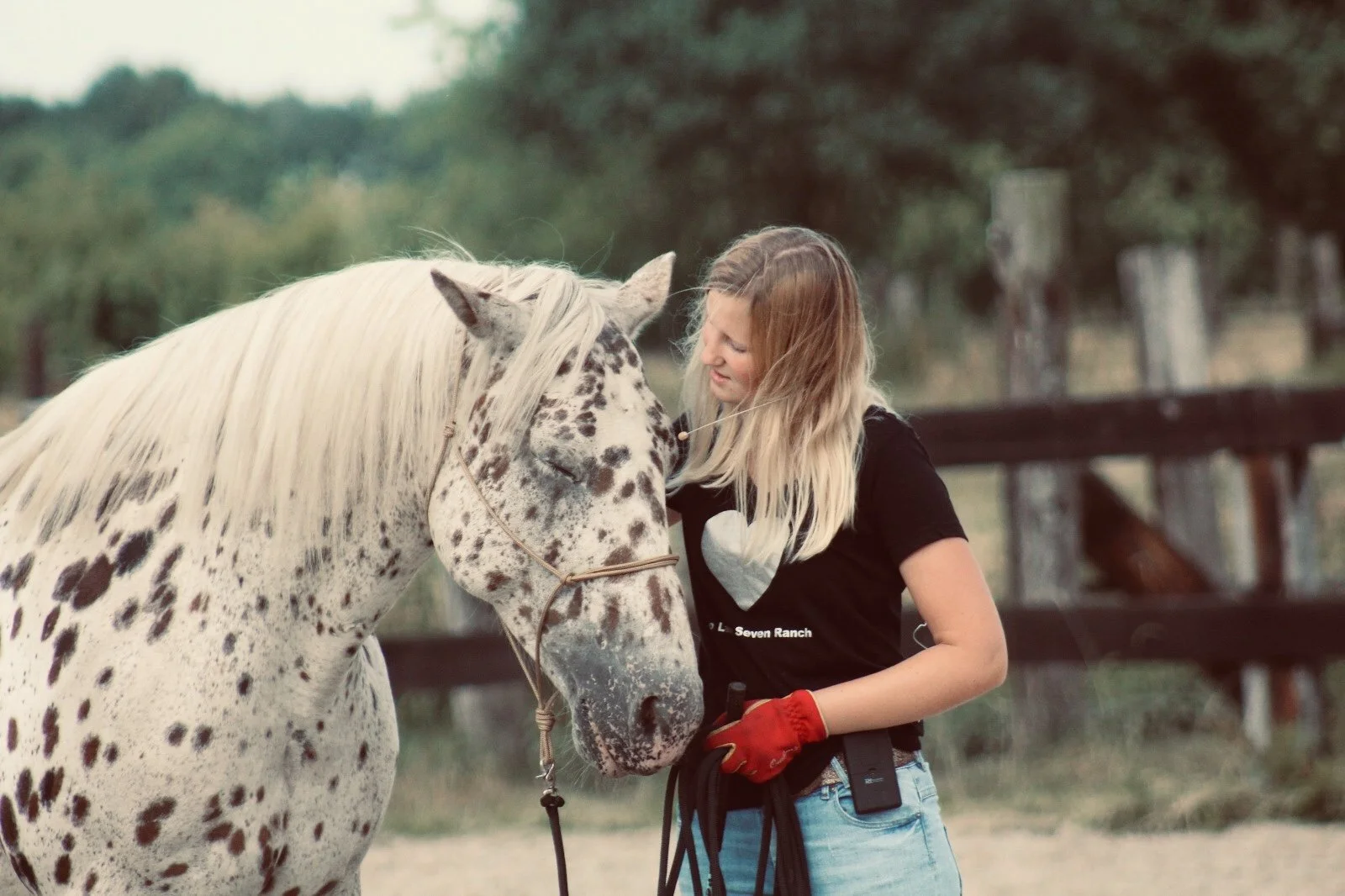 Girl petting a spotted horse in an outdoor setting near a fence.