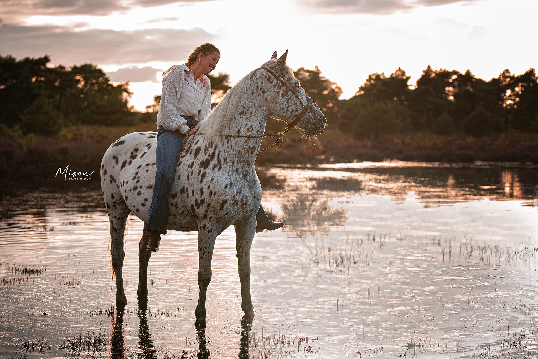 A person sits on a spotted horse standing in a reflective body of water at sunset, surrounded by trees.
