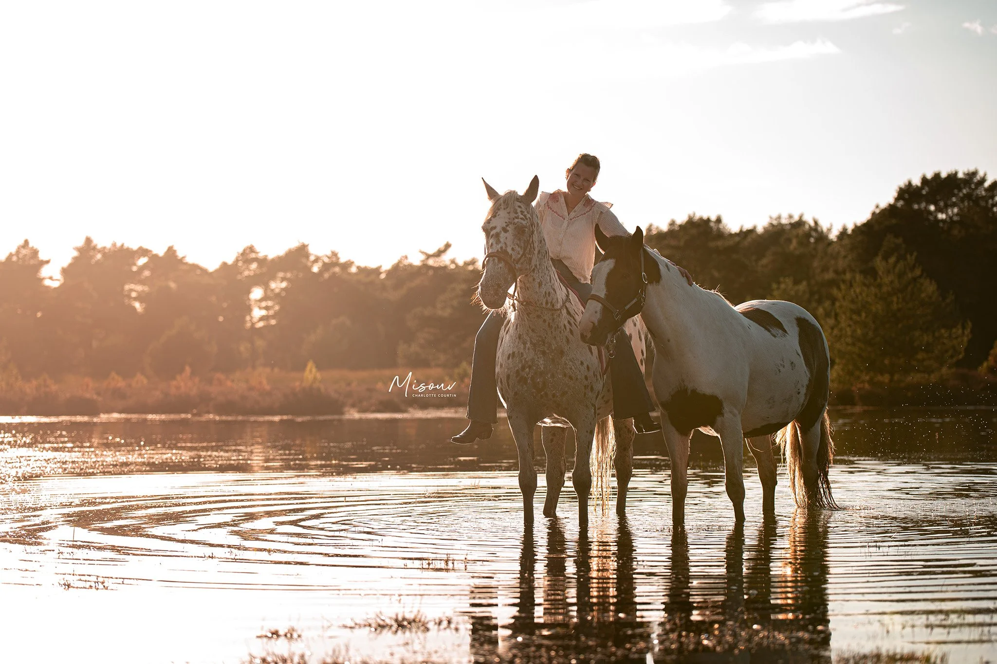 Person riding a dappled horse in water beside another horse during sunset, with trees in the background.