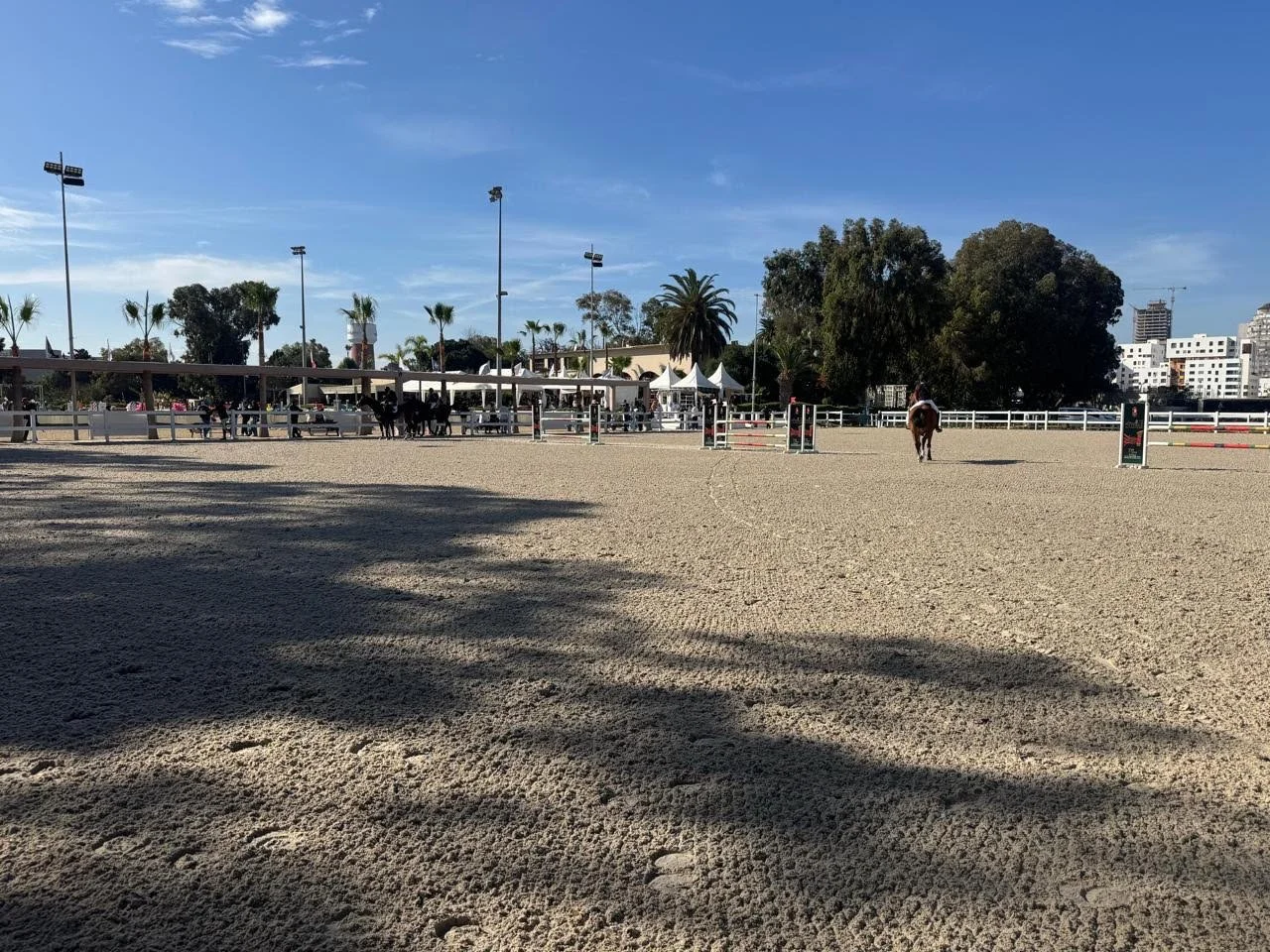 L'ETRIER DE CASABLANCA - Paddock en subirrigation 2025