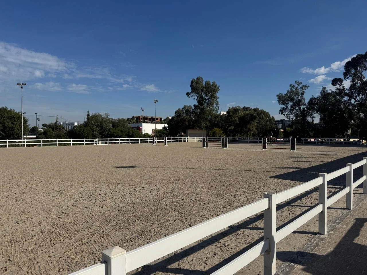 L'étrier de Casablanca - Paddock en subirrigation.