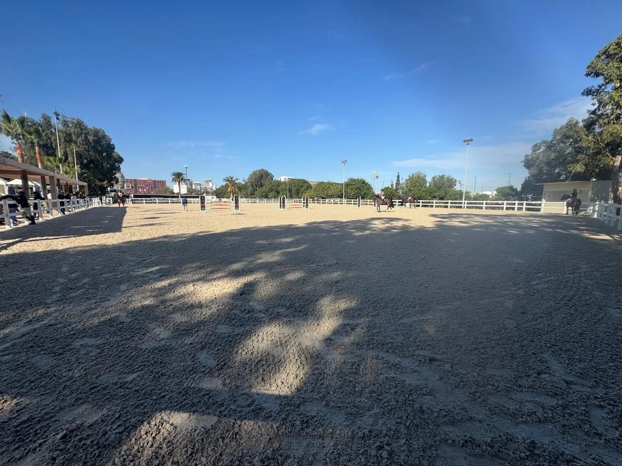L'étrier de Casablanca - Paddock en subirrigation
