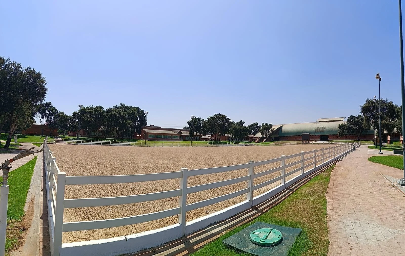 PADDOCK 2.jpg