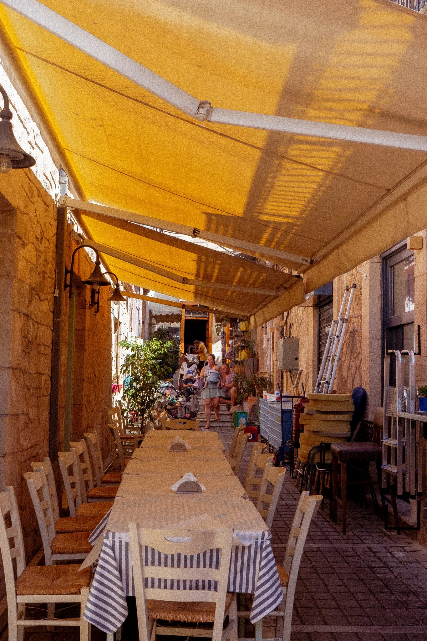 DSC05272.jpg