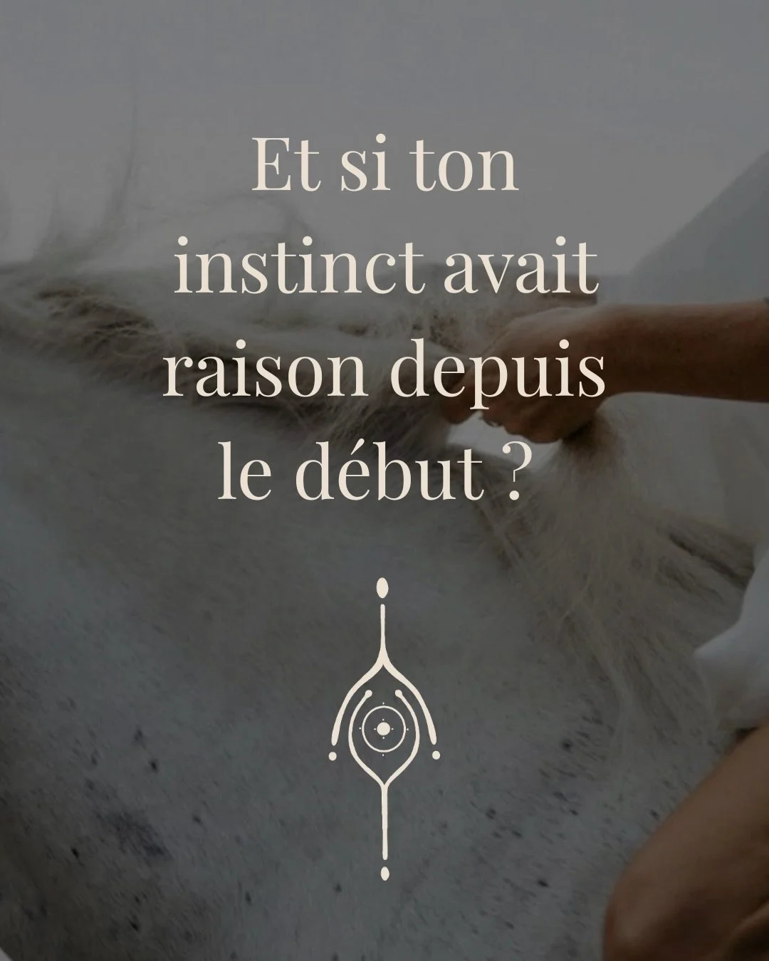 Et si ton instinct avait raison depuis le d&eacute;but ?
Tu sais, cette sensation dans l&rsquo;estomac qui remonte dans le c&oelig;ur ou l&rsquo;inverse.
C&rsquo;est dans cette zone-l&agrave;. La plus primaire et la plus sophistiqu&eacute;e de notre 
