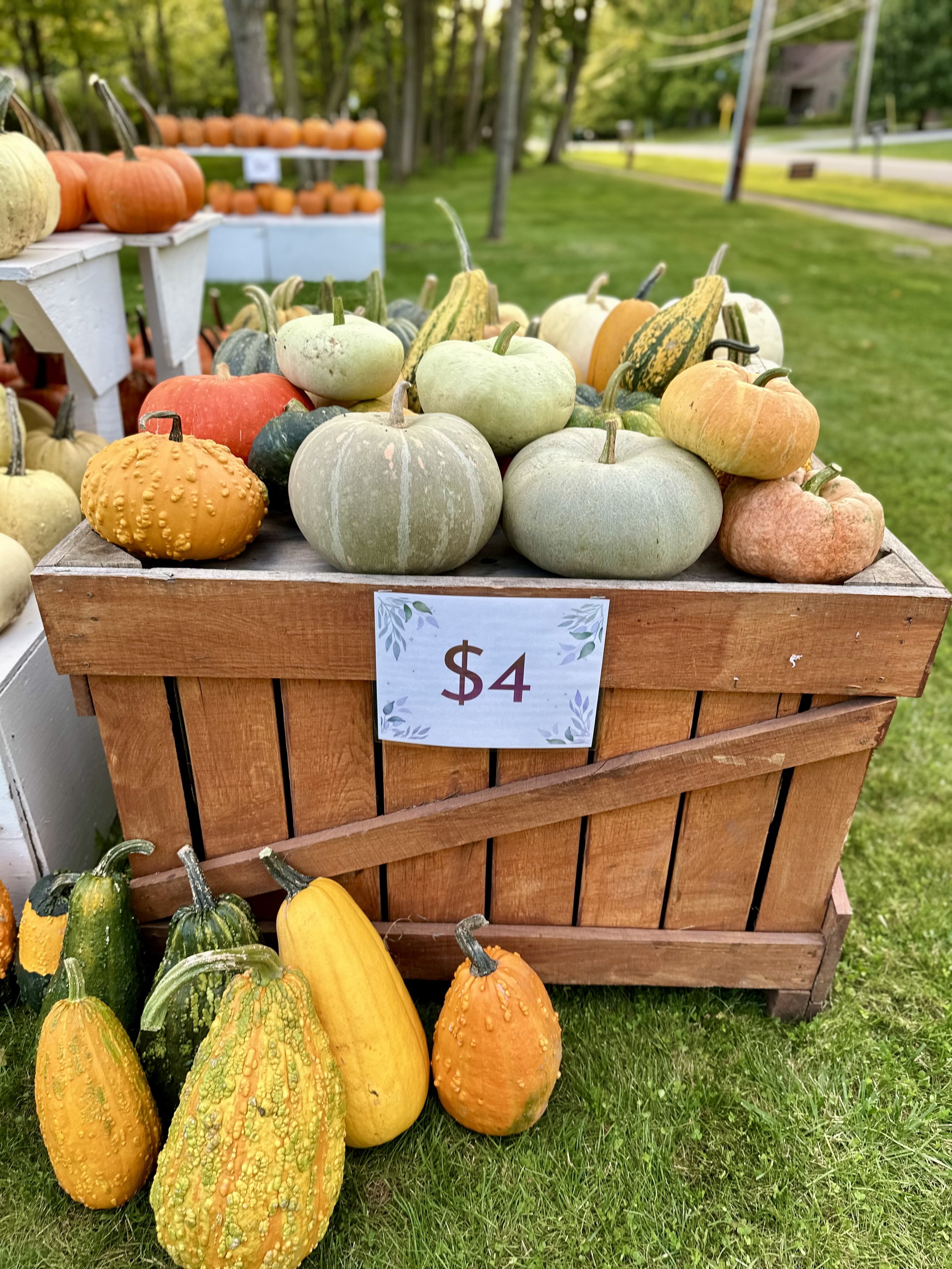 Assorted pumpkins and gourds displayed on a wooden crate, priced at $4 each. The setting is a grassy outdoor market.