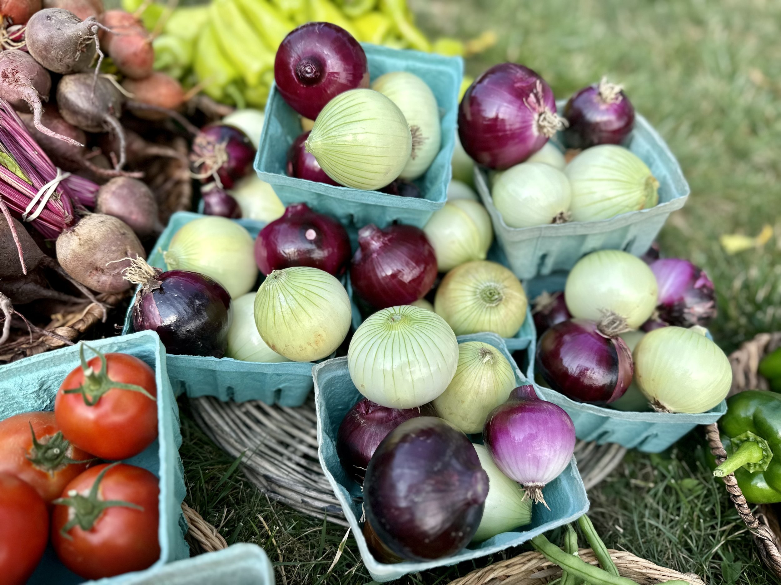 Assorted fresh vegetables including red and white onions in blue cartons, with tomatoes, beets, and bell peppers on display at a farmers market.