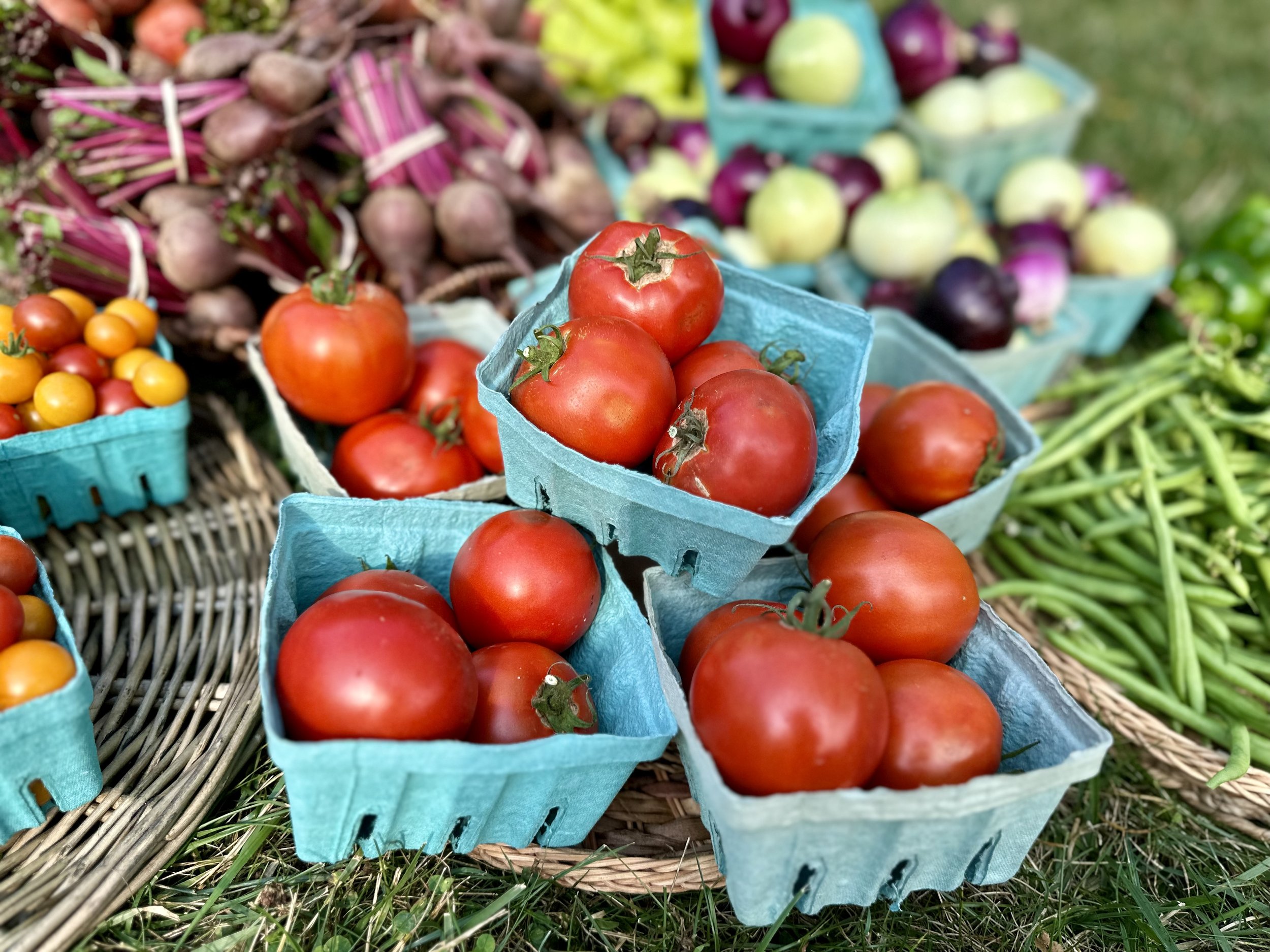 Assorted fresh vegetables including red tomatoes, yellow cherry tomatoes, beets, onions, and green beans in baskets at a market stand.