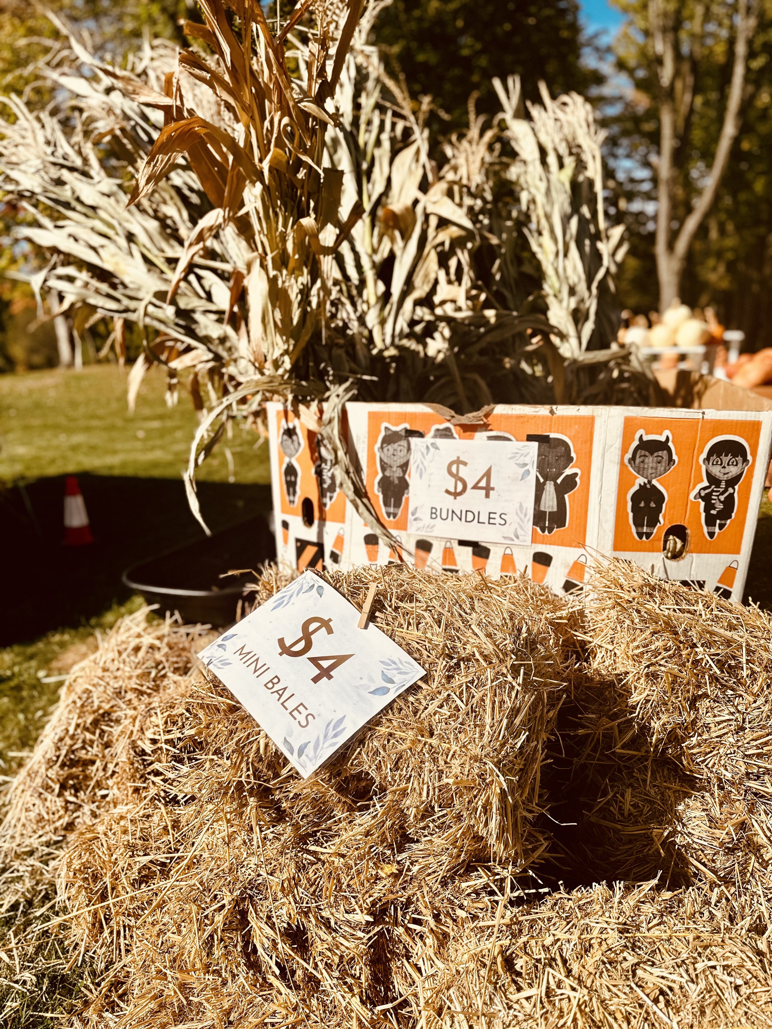 Hay bales with a $4 price sign at a fall market.