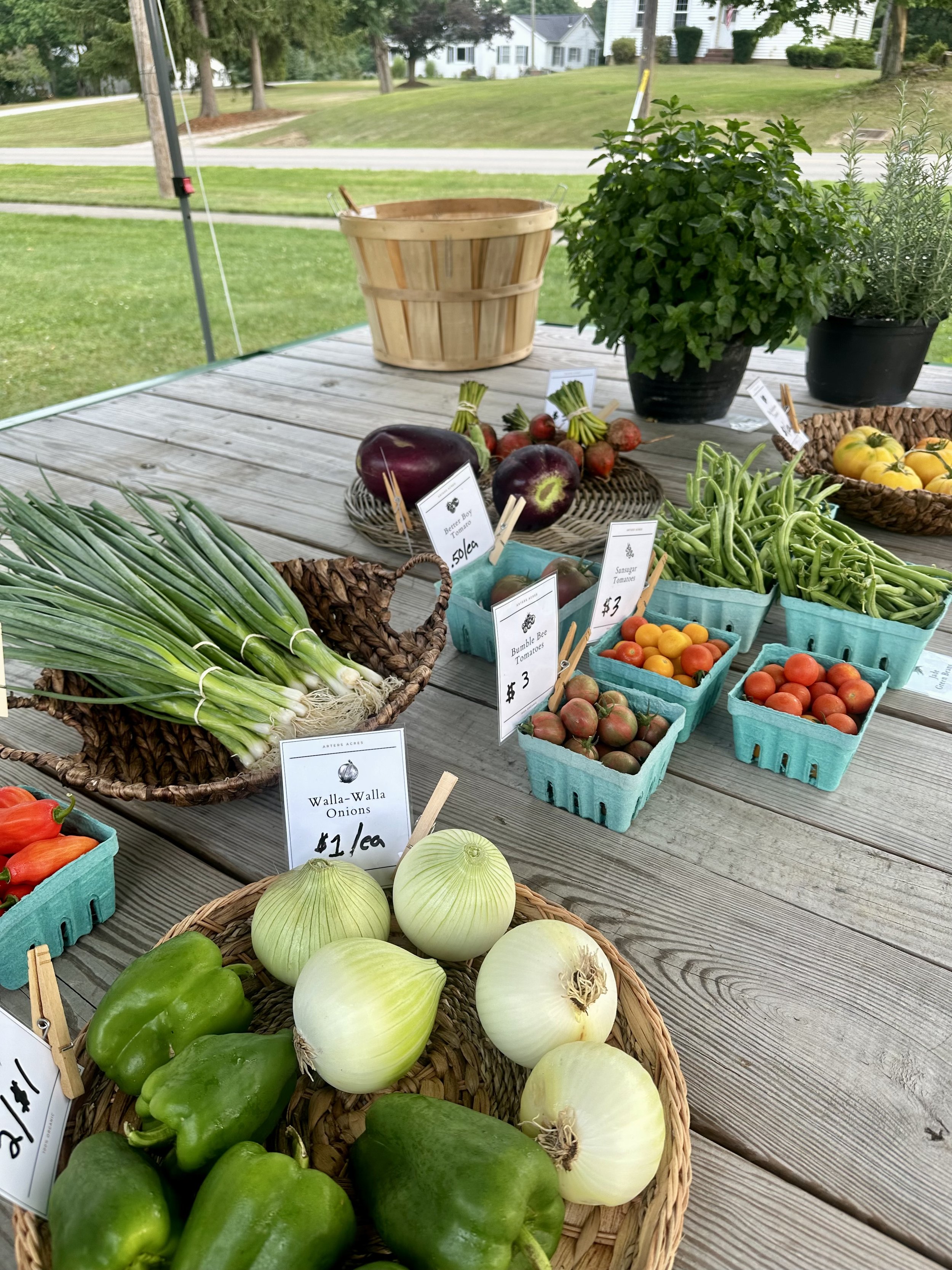 Outdoor farmers market table with various fresh produce, including green bell peppers, Walla Walla onions, green onions, eggplants, green beans, assorted tomatoes in baskets, and potted herbs.