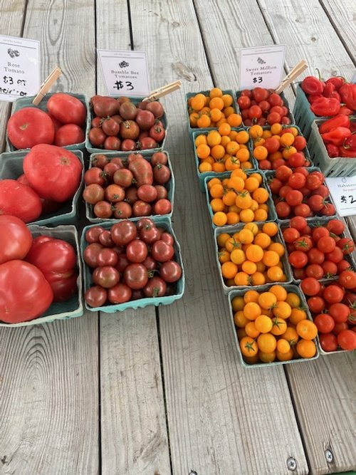 Various types of tomatoes displayed in cartons on a wooden table, with labels indicating prices, at a market.