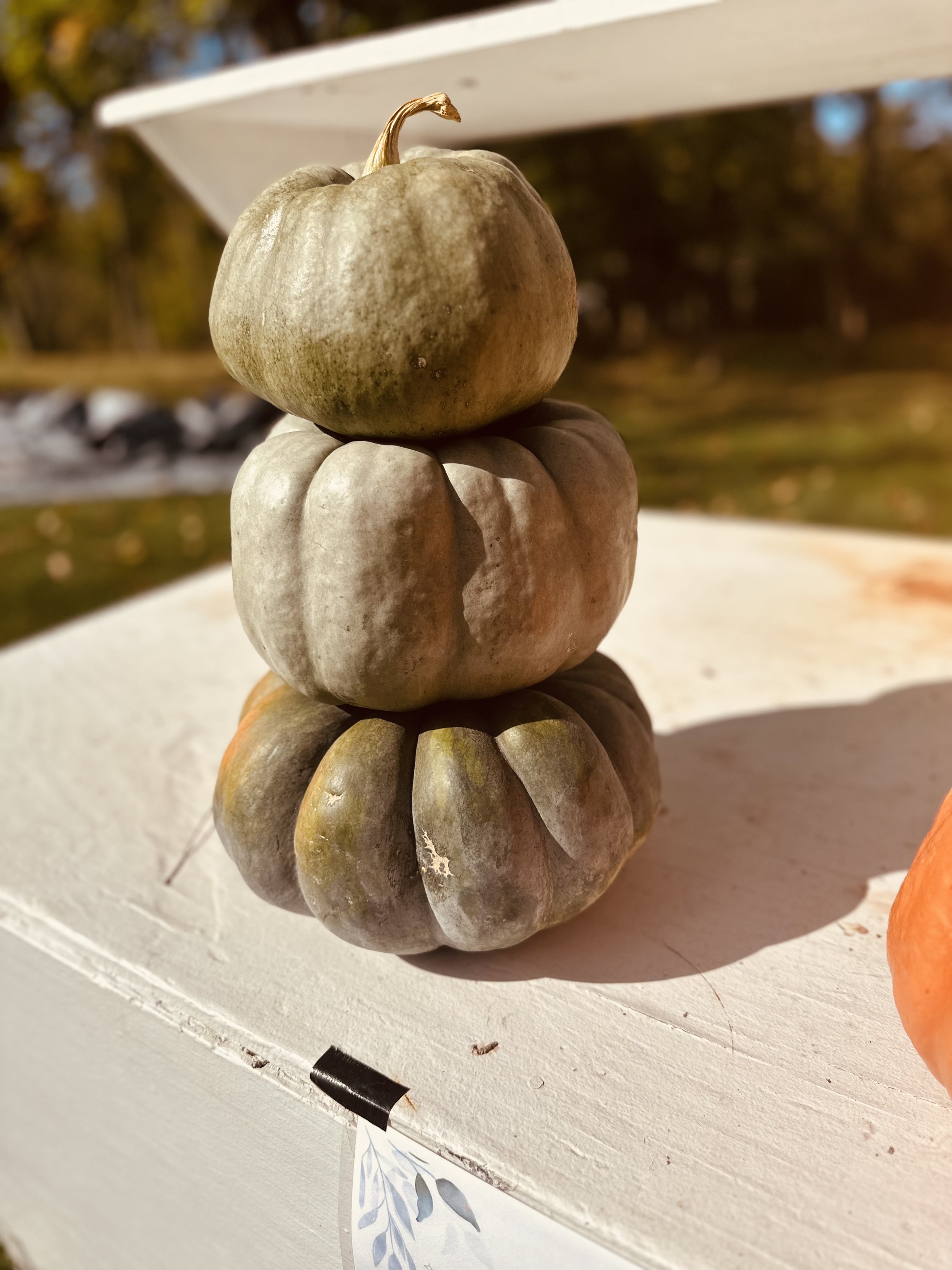 Three stacked green pumpkins on a white surface outdoors.