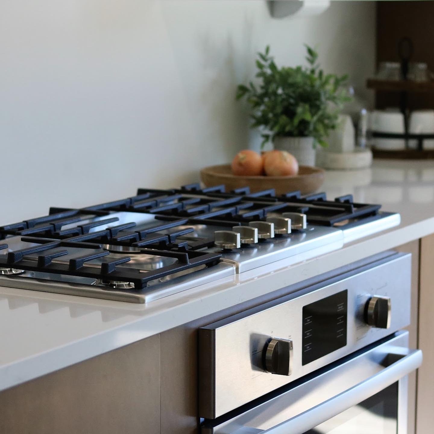 Modern kitchen with stainless steel gas stove, sleek oven, countertop with two onions and a plant.