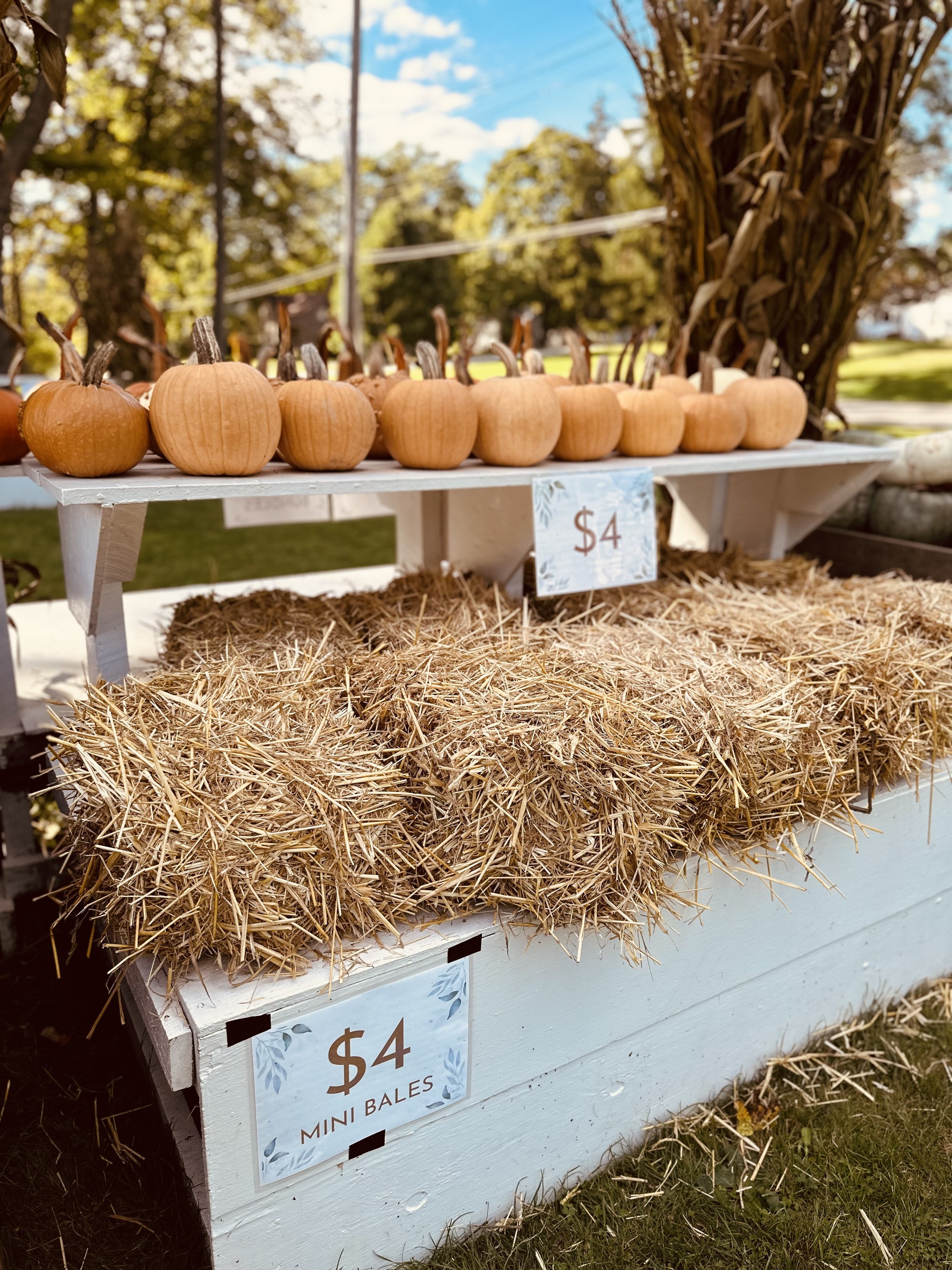Display of small pumpkins and straw bales for sale at an outdoor market, each priced at $4.