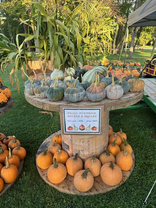 A display of various pumpkins, gourds, and squash on a wooden table outdoors with a sign showing prices.