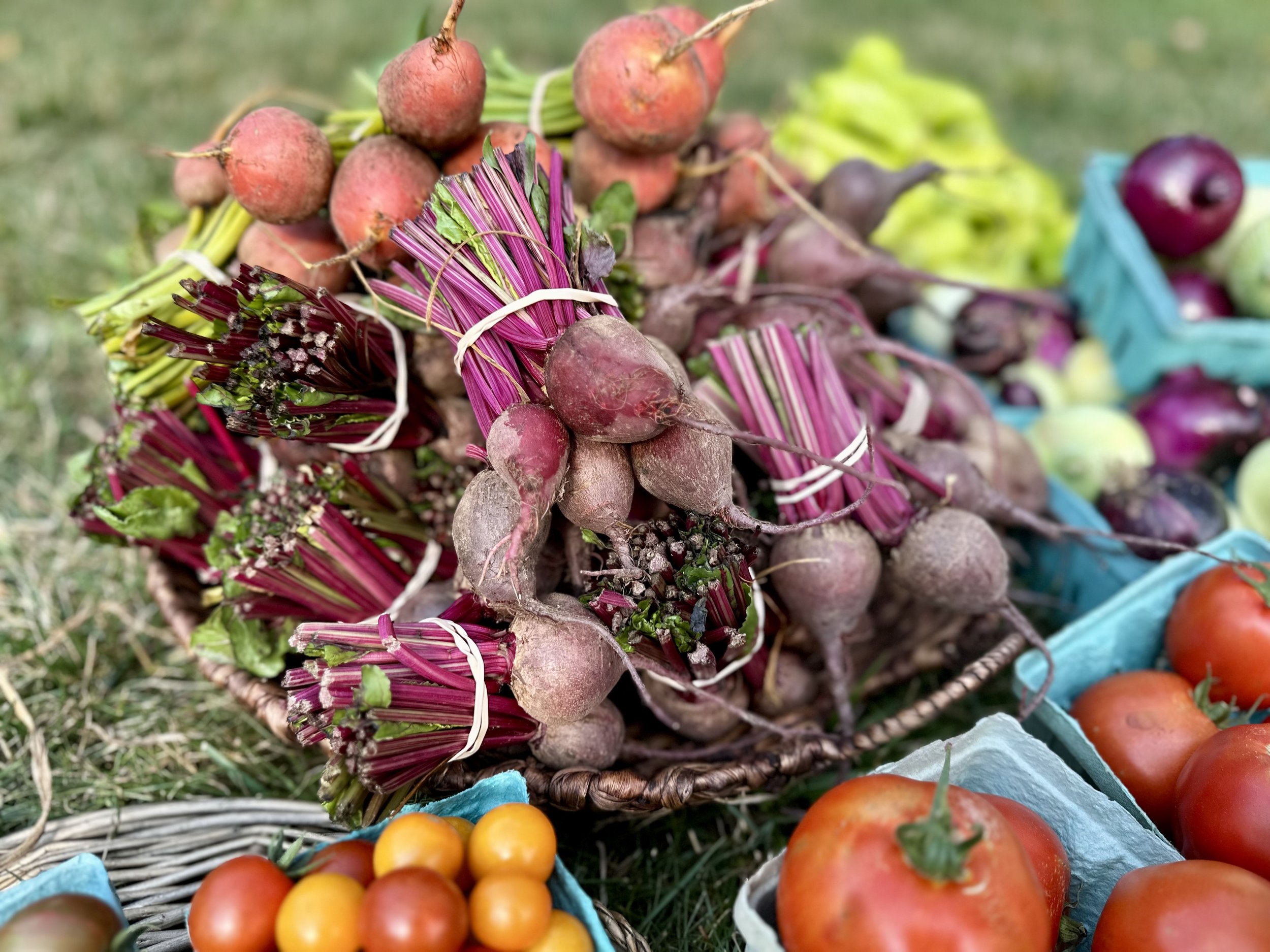 Fresh produce including bunches of beets, ripe red tomatoes, and small yellow and red tomatoes on grass.