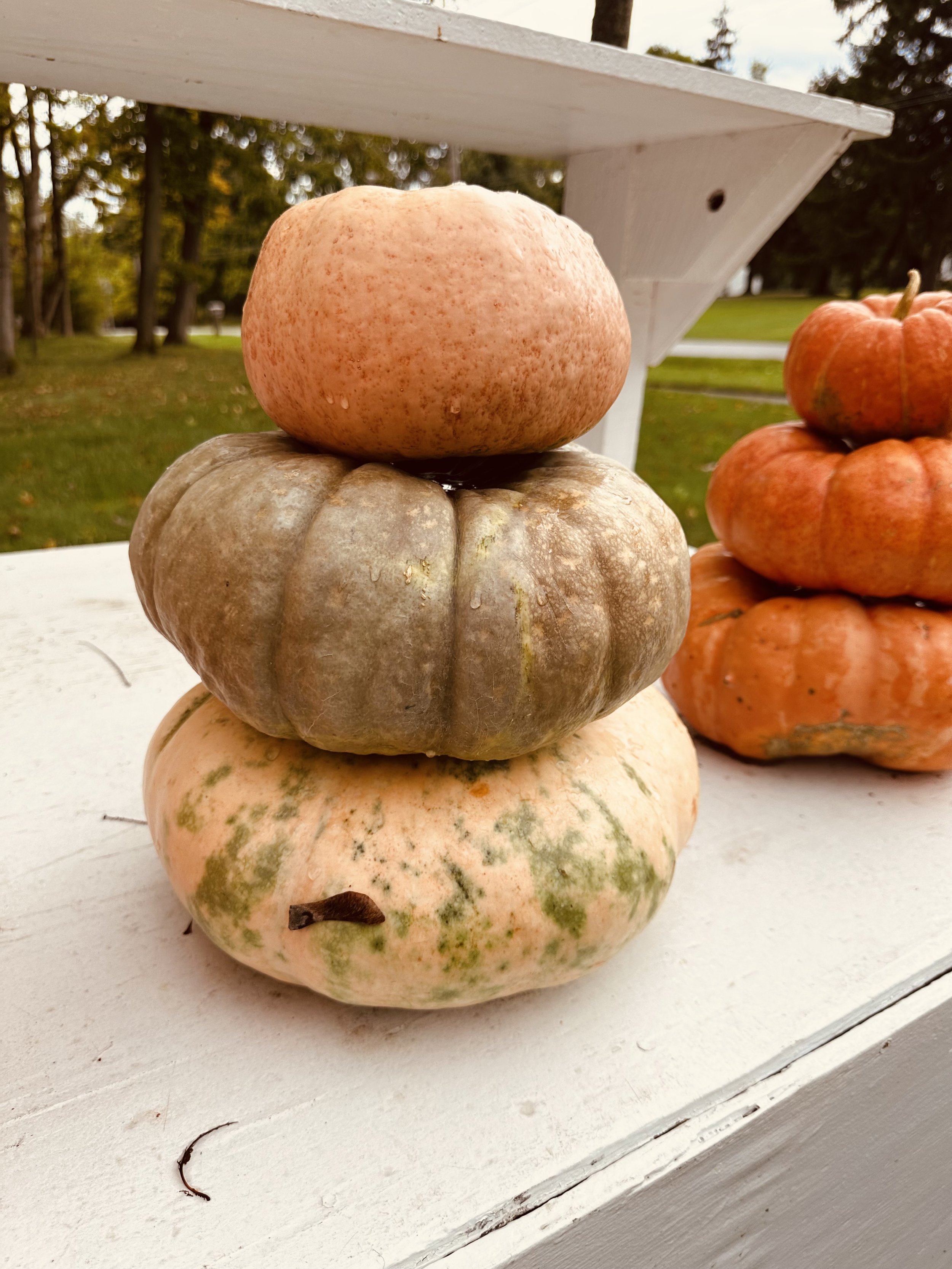 Stack of three pumpkins, varying in color, on a white wooden surface outdoors.